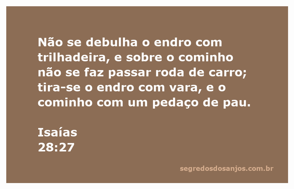 Ilustração da colheita de especiarias como endro e cominho, representando a delicadeza do processo agrícola.