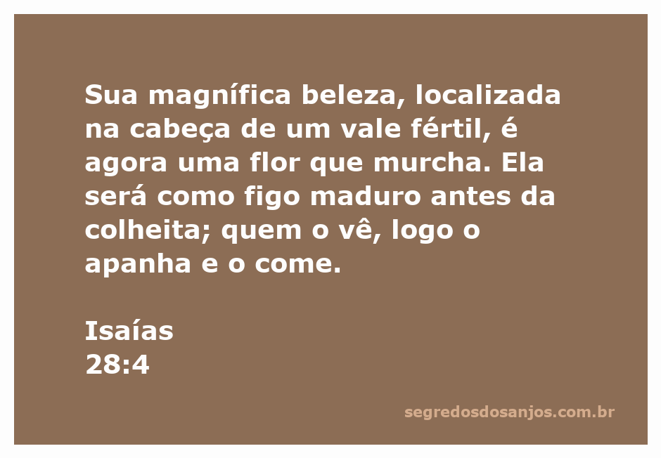 Imagem de uma flor murcha em um vale fértil, simbolizando a passagem de Isaías 28:4