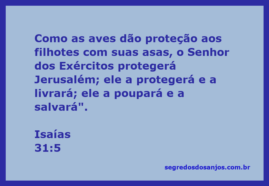 Imagem representativa de aves protegendo seus filhotes sob suas asas, simbolizando a proteção divina.