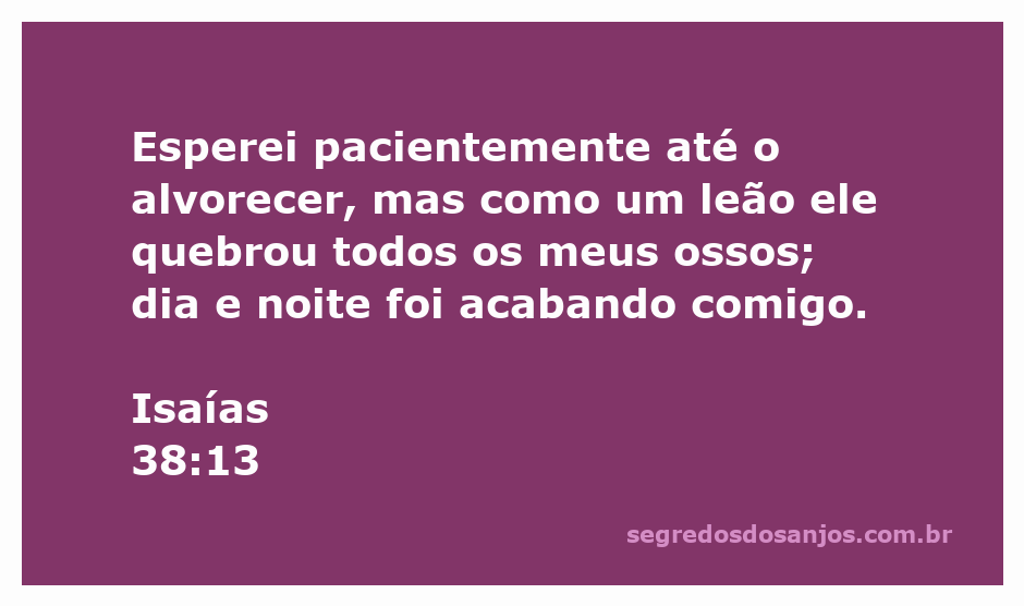 Ilustração de Isaías 38:13, representando a luta e a espera paciente do profeta, com a imagem de um leão simbolizando a força e a dor.
