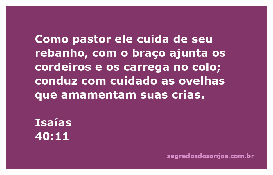 Imagem de um pastor cuidando de ovelhas e cordeiros, simbolizando o cuidado e a proteção divina.