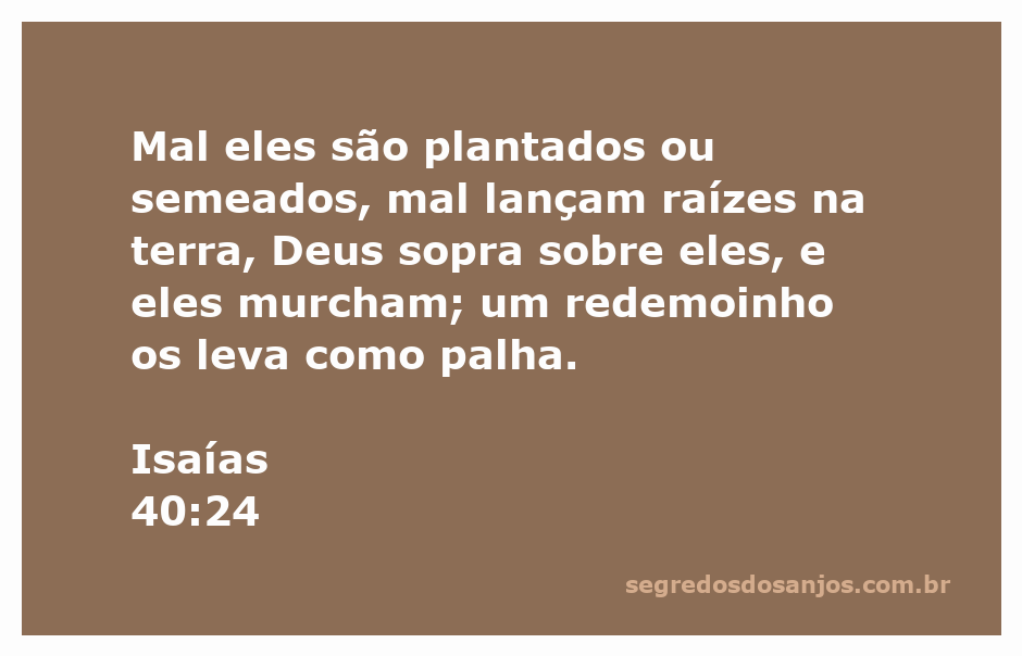 Imagem representando Isaías 40:24, mostrando plantas murchando ao vento.