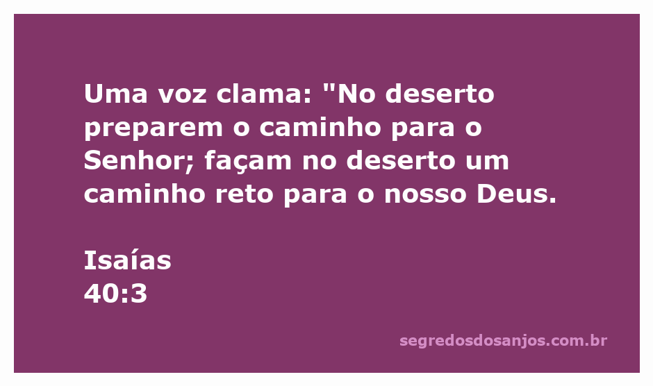 A imagem representa uma voz clamando no deserto, simbolizando a preparação do caminho para o Senhor, inspirada em Isaías 40:3.