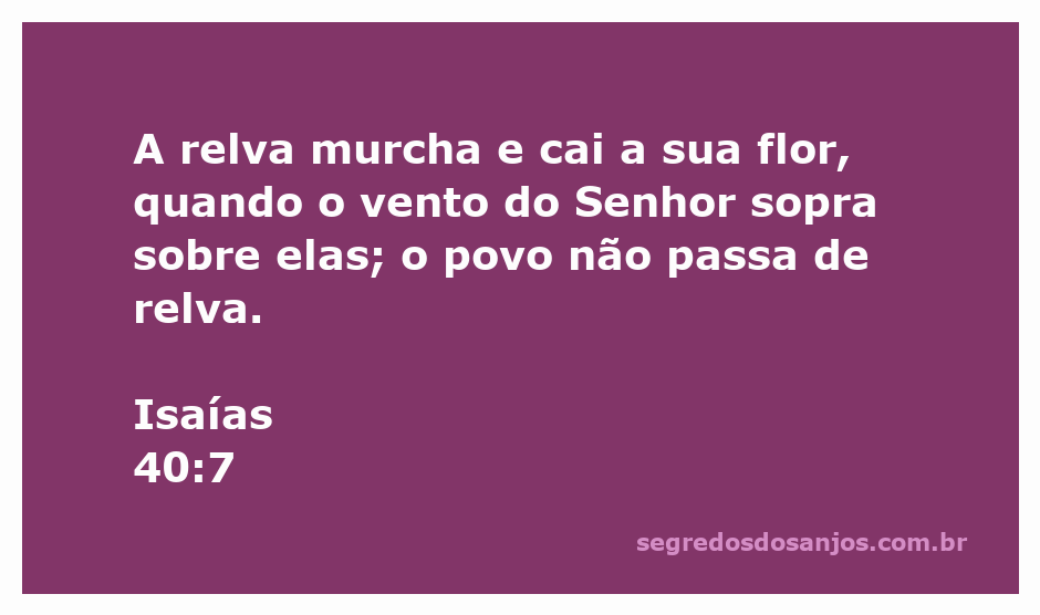 Imagem representando a fragilidade da relva e flores sob o vento, simbolizando a passagem de Isaías 40:7.