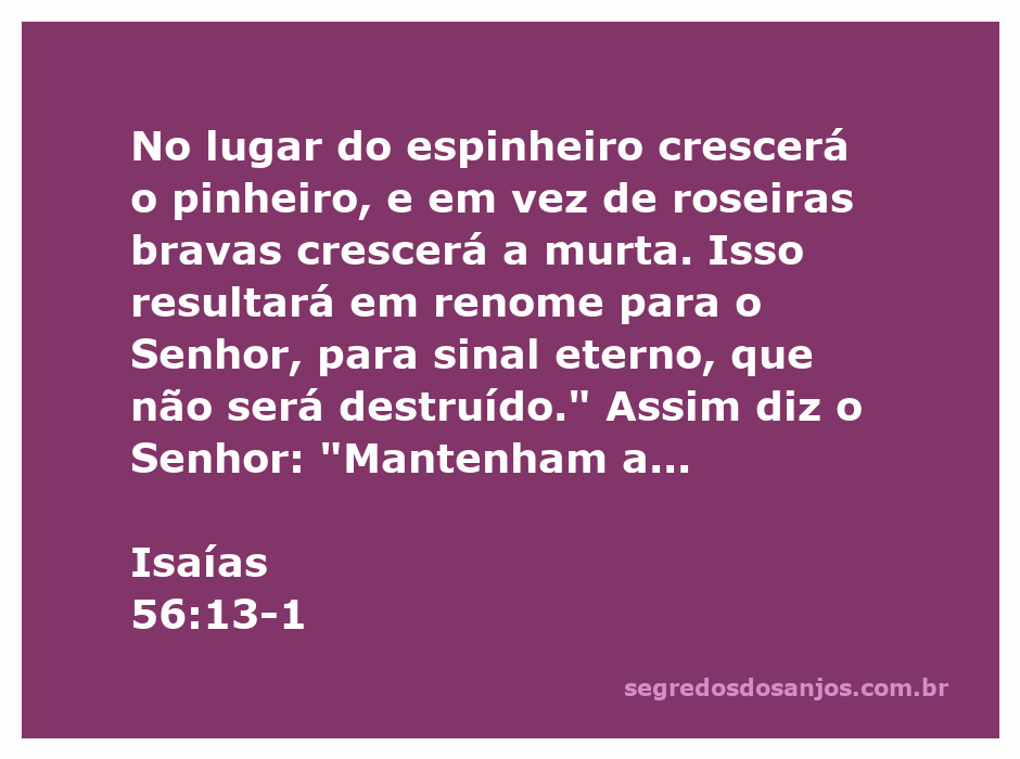Imagem representando a transformação de espinheiros em pinheiros e roseiras bravas em murtas, simbolizando a renovação e a justiça de Deus.