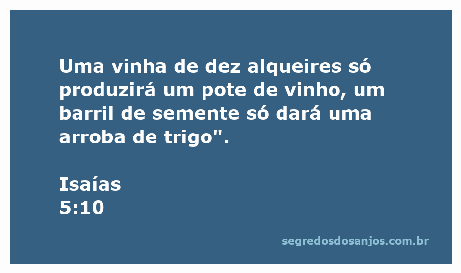 Representação de uma vinha com poucos frutos, simbolizando a escassez na colheita conforme Isaías 5:10.