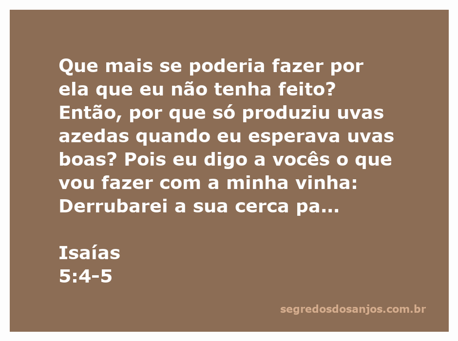 Imagem representativa da vinha de Isaías, simbolizando a produção de uvas azedas e a desapontamento do proprietário.