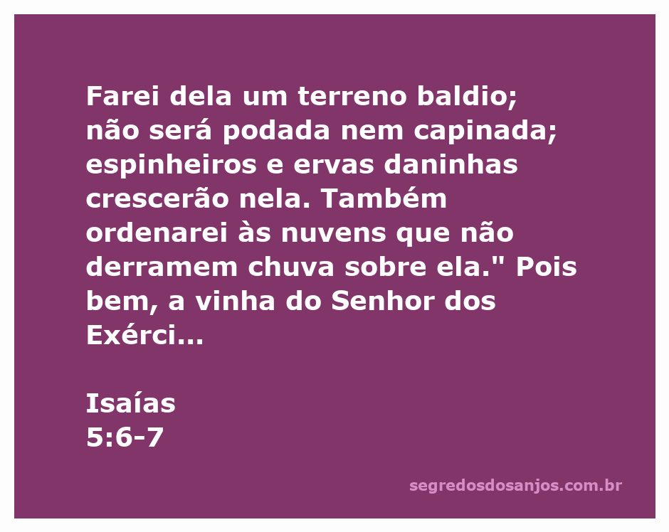 A representação artística da vinha do Senhor dos Exércitos, simbolizando a nação de Israel e a injustiça que a aflige.