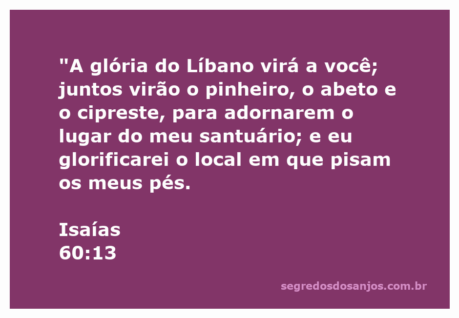 Imagem representativa de árvores como pinheiros, abetos e ciprestes, simbolizando a glória do Líbano e a importância no santuário de Deus conforme Isaías 60:13.