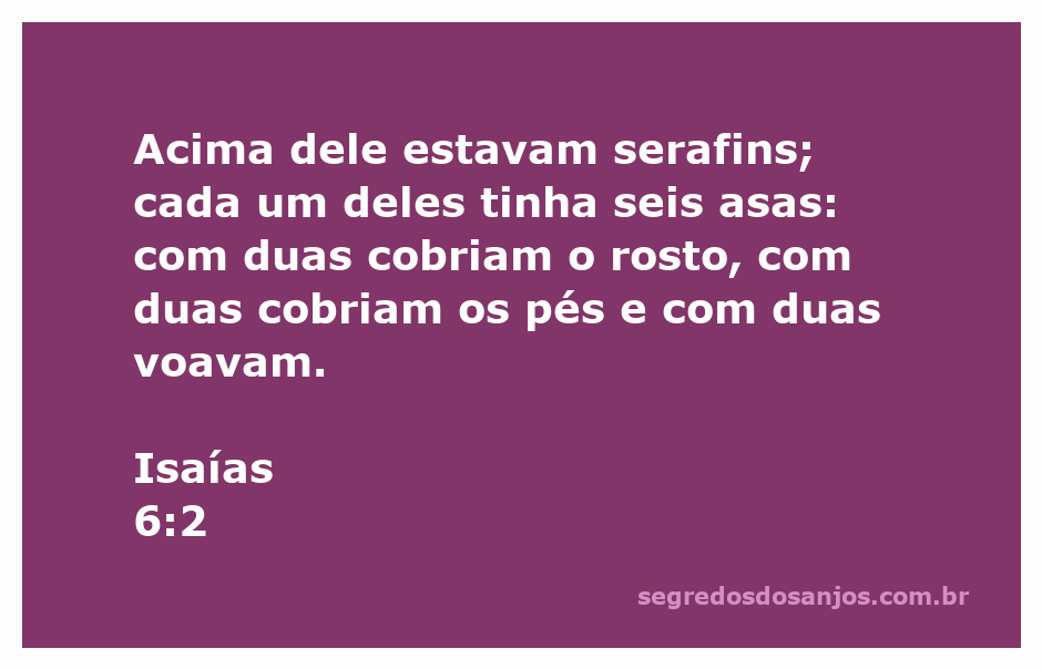 Imagem de serafins com seis asas, cobrindo o rosto e os pés, representando a passagem de Isaías 6:2.