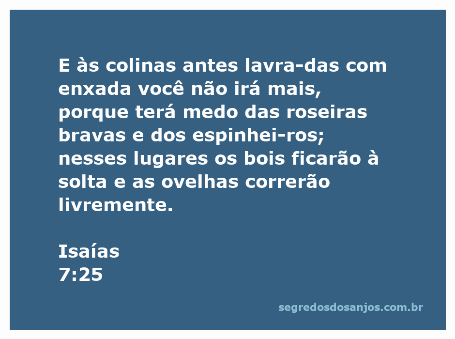 Uma paisagem rural com colinas cobertas de roseiras bravas e espinhos, simbolizando a mensagem de Isaías 7:25 sobre a liberdade dos animais.