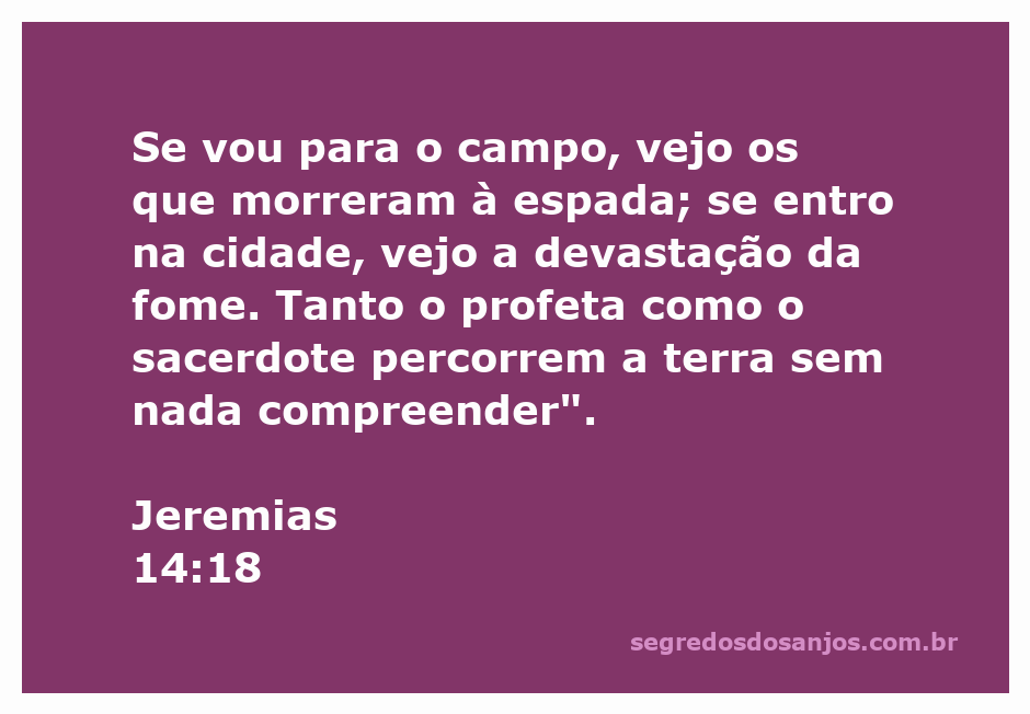 Imagem que ilustra a devastação e a tristeza do povo em Jeremias 14:18, mostrando um campo e uma cidade afetados pela guerra e pela fome.