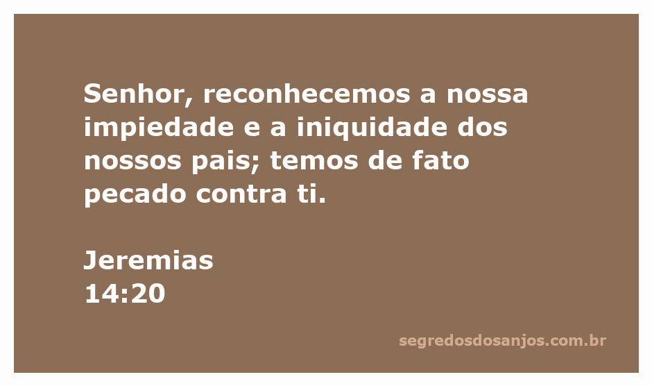 Imagem representativa da confissão de pecados mencionada em Jeremias 14:20, com uma pessoa em oração.