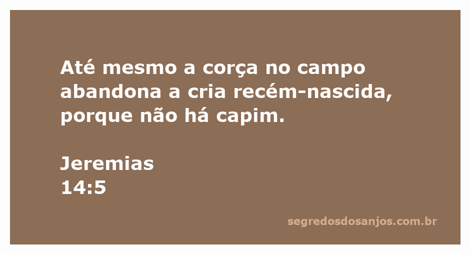 Uma corça no campo olhando para sua cria recém-nascida, simbolizando a tristeza e a desolação em tempos de falta de recursos.