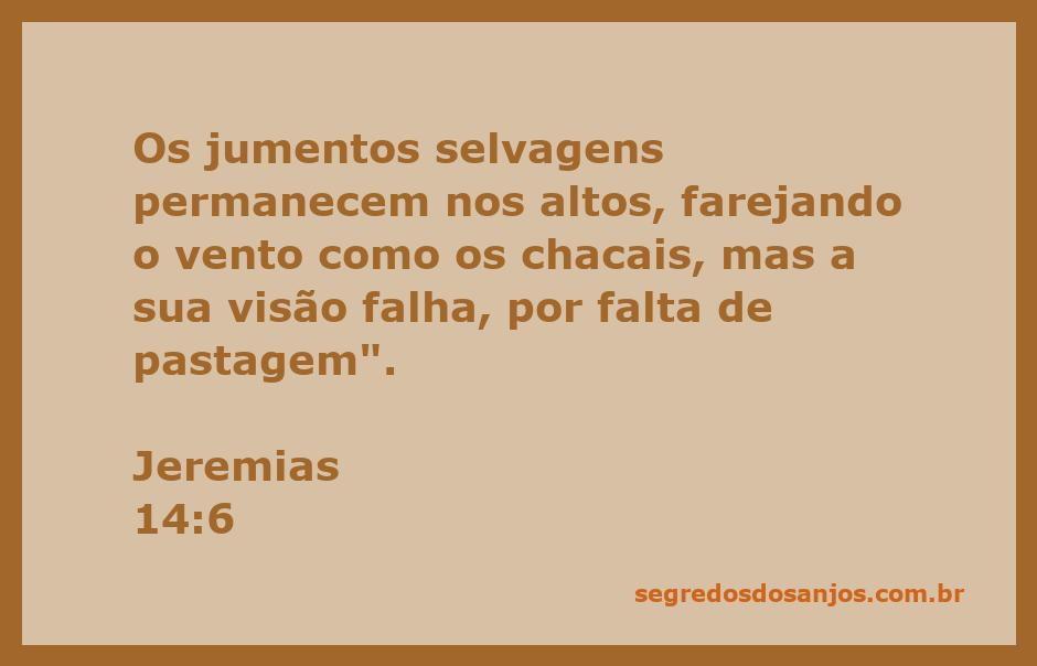 Imagem de jumentos selvagens em uma paisagem árida, simbolizando a busca por alimento e as dificuldades enfrentadas.