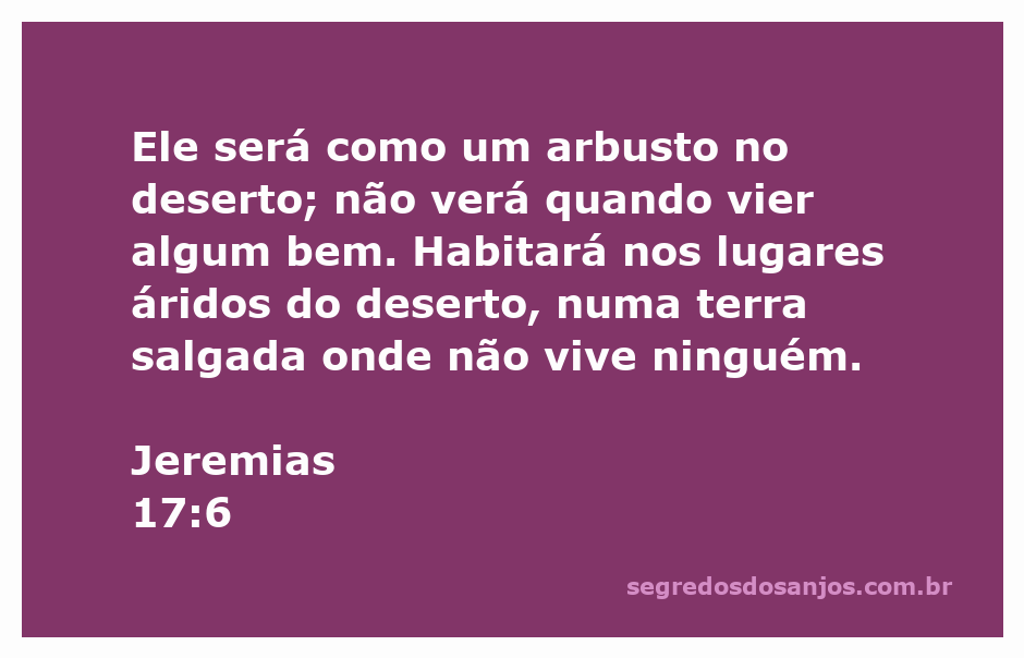 Arbusto seco em um deserto árido representando Jeremias 17:6.