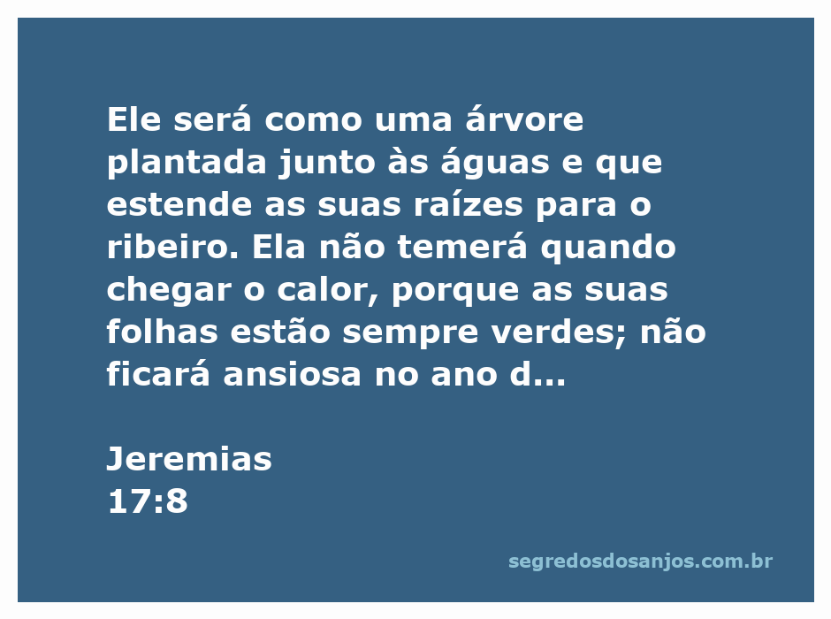 Imagem de uma árvore robusta e verde plantada à beira de um ribeiro, simbolizando a proteção e a prosperidade descritas em Jeremias 17:8.
