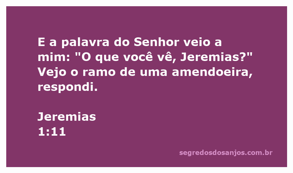 Ilustração do ramo de uma amendoeira com fundo espiritual, representando a visão de Jeremias