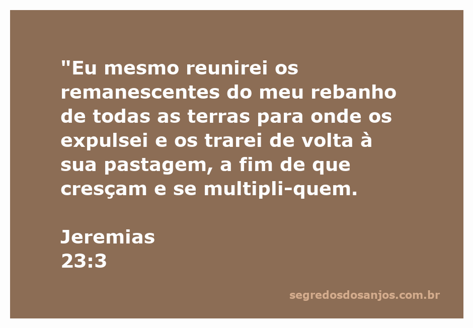 Ilustração de um pastor reunindo o rebanho perdido, simbolizando a promessa de Deus em Jeremias 23:3.