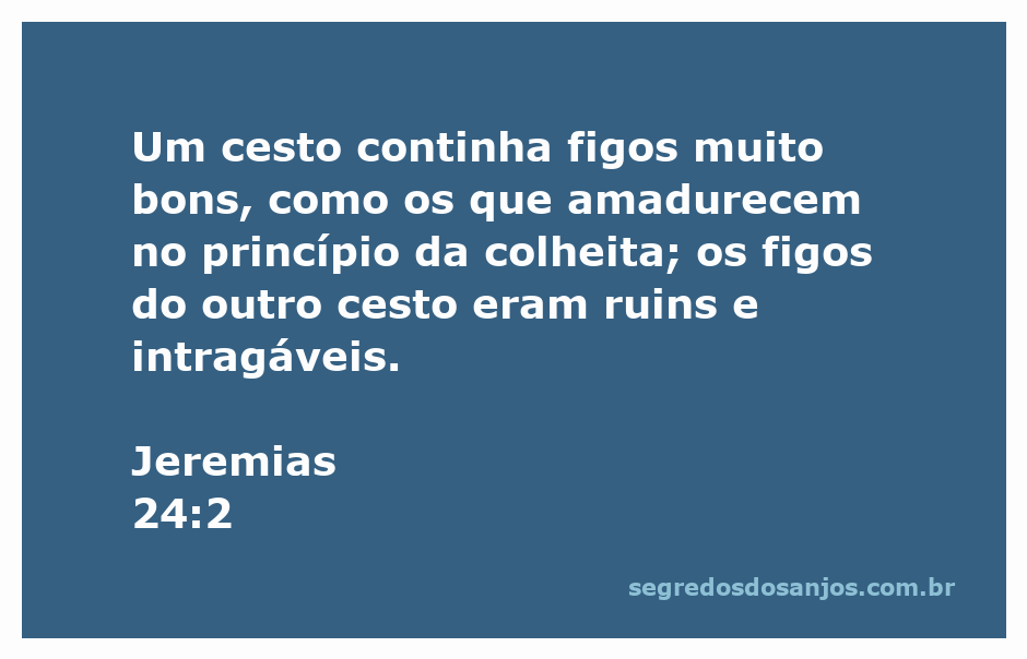 Ilustração de dois cestos de figos, um com figos maduros e bons, e outro com figos ruins e intragáveis, representando a passagem de Jeremias 24:2.