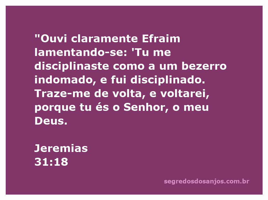 Imagem representativa de Efraim lamentando-se, simbolizando arrependimento e busca por Deus, inspirada em Jeremias 31:18.