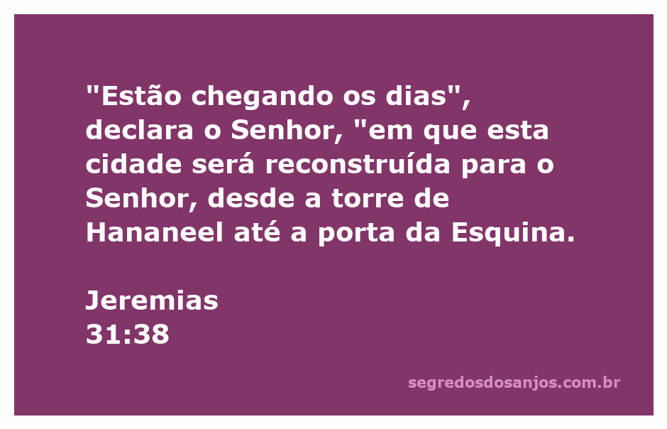 Vista da cidade em reconstrução com a torre de Hananeel e a porta da Esquina, simbolizando a promessa de restauração de Jerusalém.