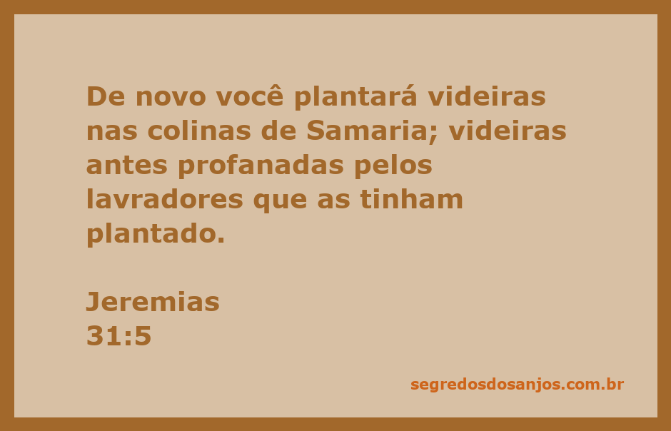 Uma paisagem das colinas de Samaria com videiras em crescimento, simbolizando a renovação e esperança.