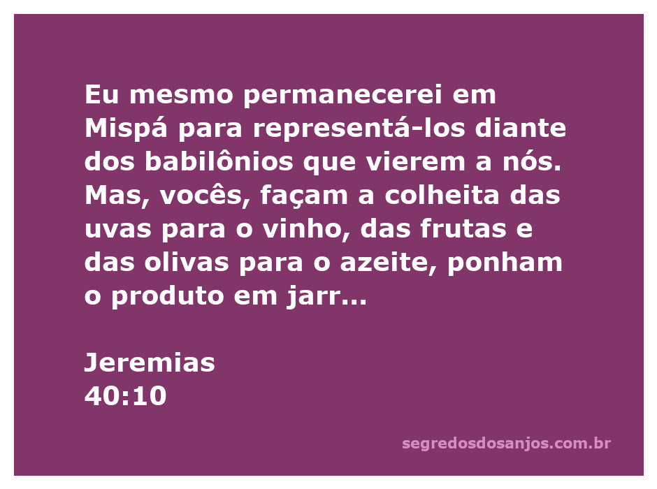 Imagem representativa da passagem de Jeremias 40:10, mostrando uma colheita de uvas e frutas sob a supervisão de Mispá.