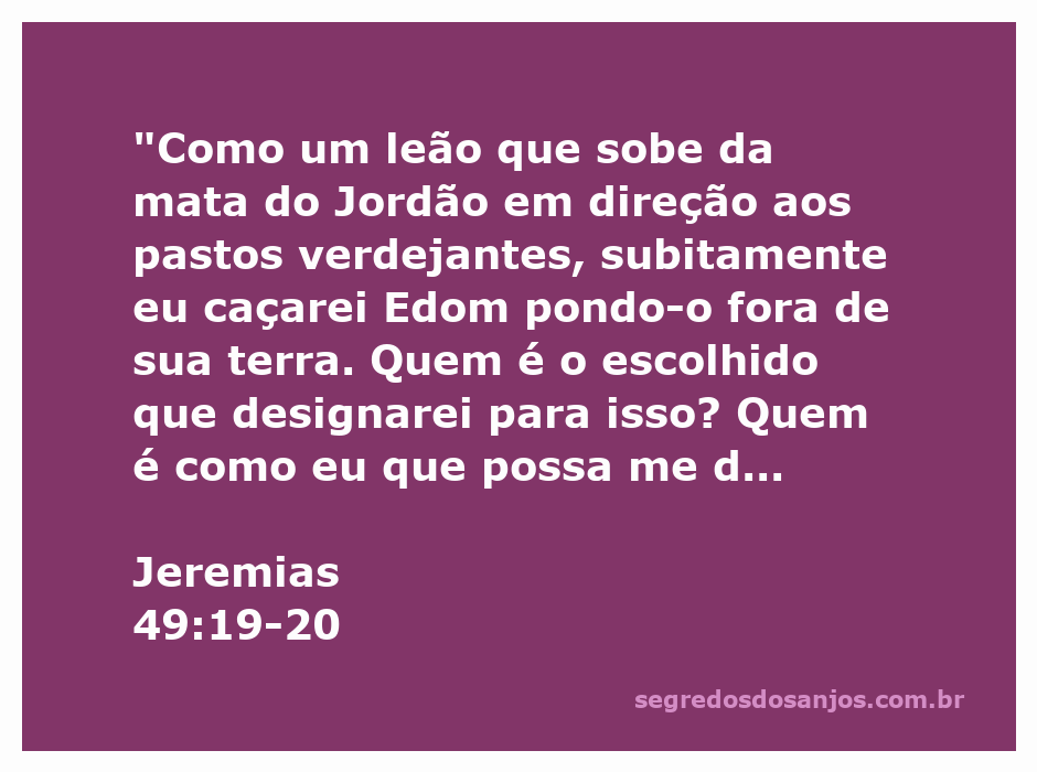 Imagem ilustrativa de um leão majestoso na natureza, simbolizando a força e o poder do Senhor conforme descrito em Jeremias 49:19-20.