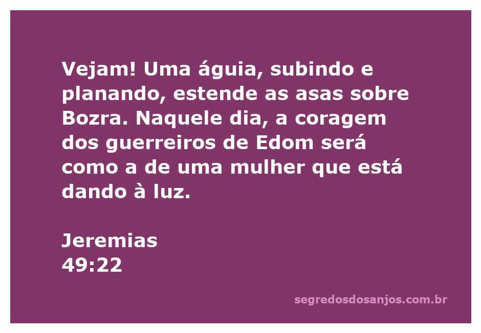 Imagem de uma águia majestosa planando sobre uma cidade, simbolizando a profecia de Jeremias 49:22.