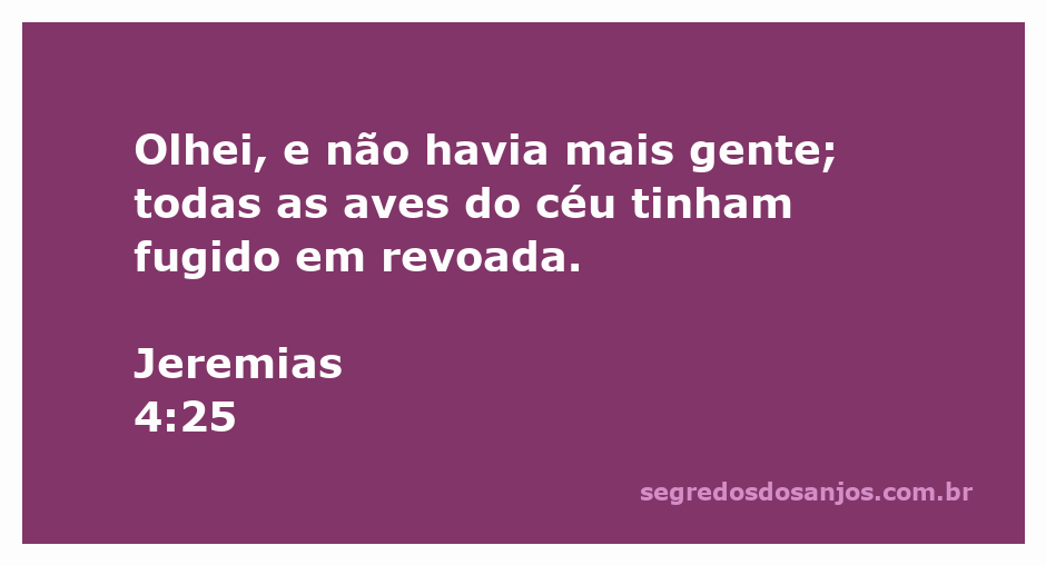 Imagem representando a solidão e desolação descritas em Jeremias 4:25, mostrando um céu vazio sem aves e uma terra desabitada.