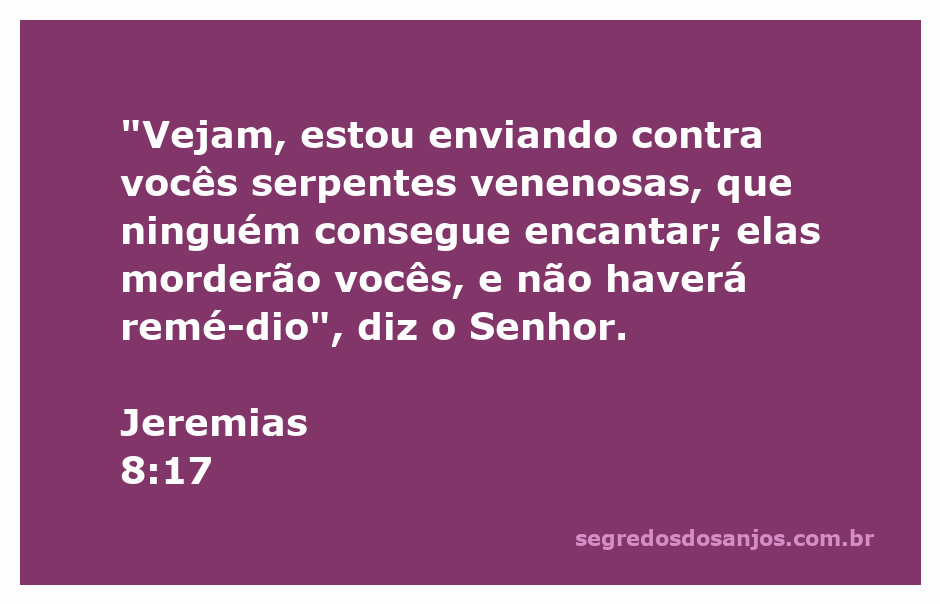 Imagem de uma serpente venenosa simbolizando o castigo divino conforme Jeremias 8:17.