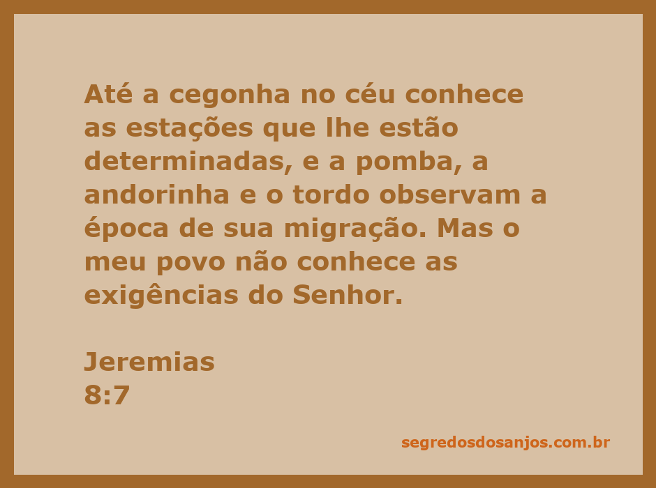 A imagem mostra uma cegonha voando sobre um céu claro, simbolizando a migração das aves e a sabedoria da natureza.