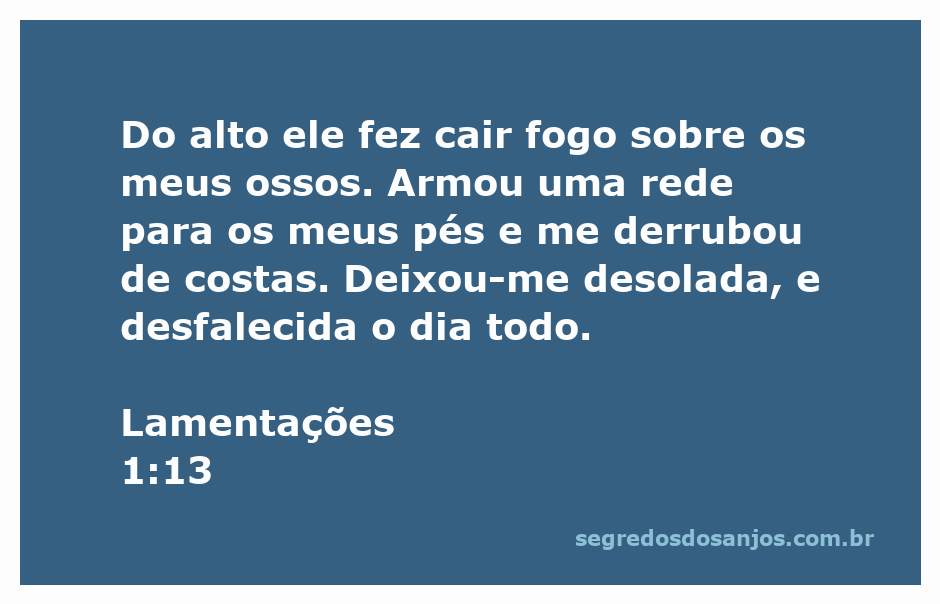 Uma representação visual da desolação expressa em Lamentações 1:13, com elementos que simbolizam fogo e redes.