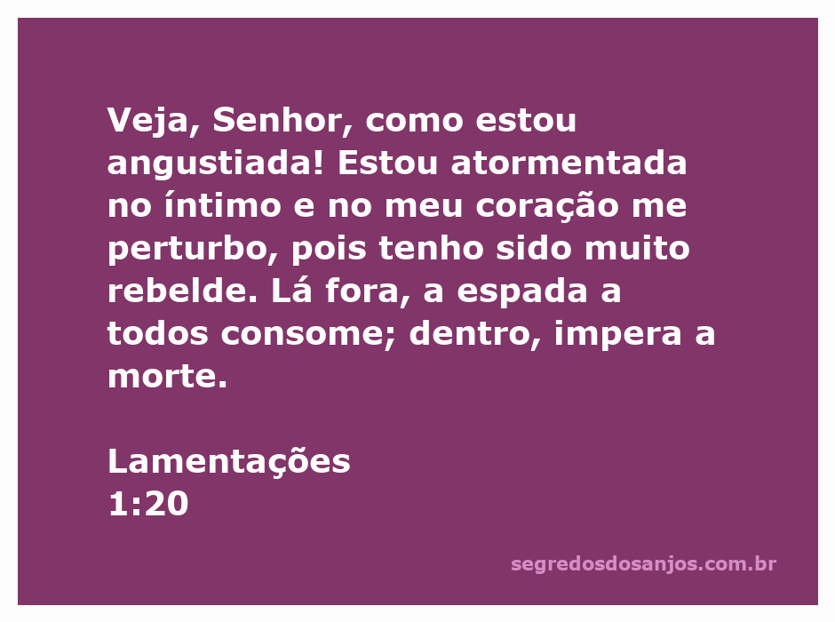 Imagem expressando a angústia e perturbação descritas em Lamentações 1:20, com símbolos de dor e desespero.