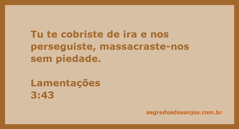 Imagem representativa da passagem Lamentações 3:43, expressando a ira e a perseguição.