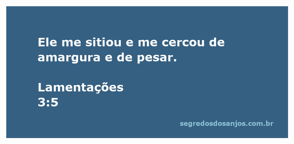 Imagem representativa do versículo Lamentações 3:5, simbolizando amargura e pesar.