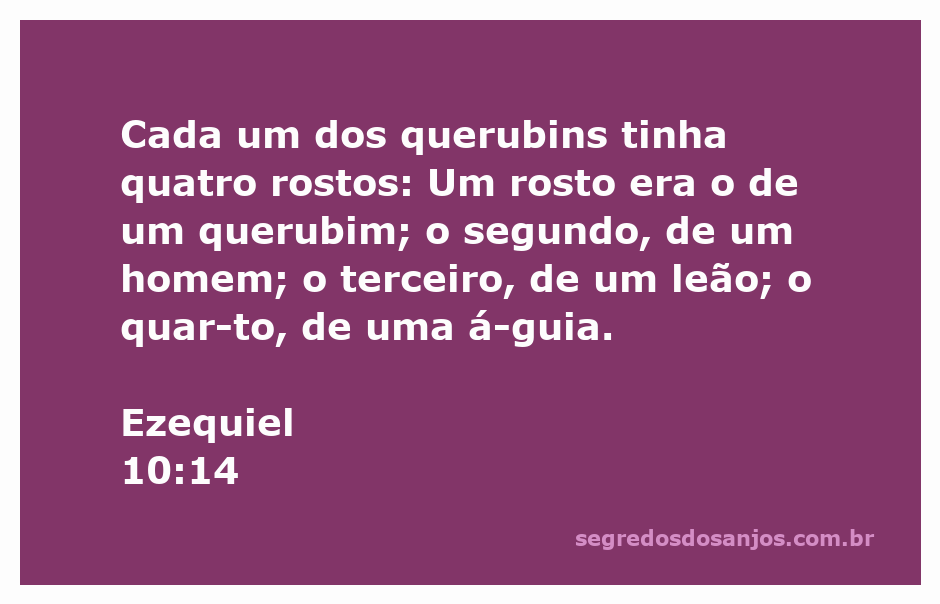 Ilustração dos quatro rostos dos querubins conforme descrito em Ezequiel 10:14