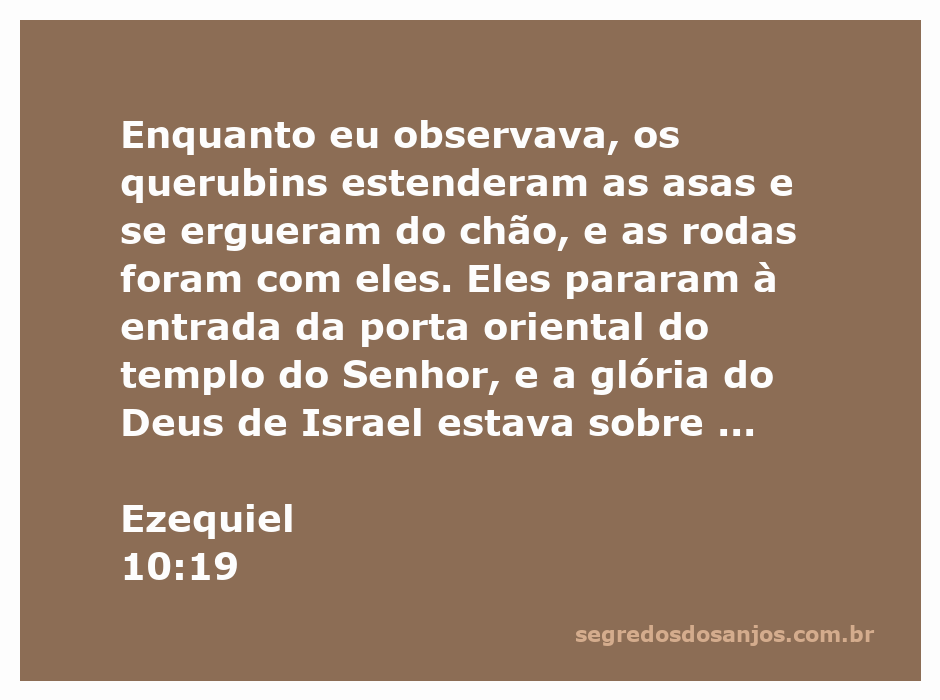 Querubins com asas estendidas e rodas, simbolizando a glória de Deus em Ezequiel 10:19.