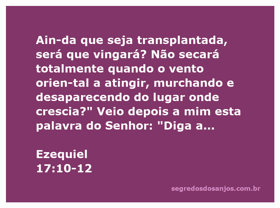 Imagem representativa da passagem Ezequiel 17:10-12, ilustrando a metáfora do transplante de uma planta e o impacto do vento oriental.