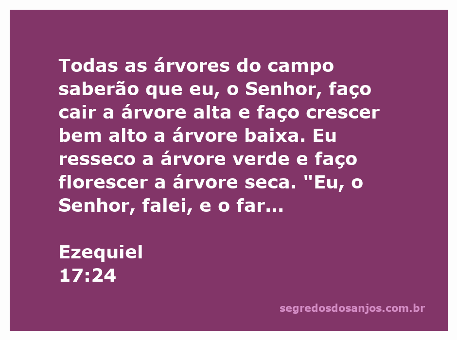 Imagem simbólica representando a passagem de Ezequiel 17:24, mostrando árvores altas e baixas em um campo.