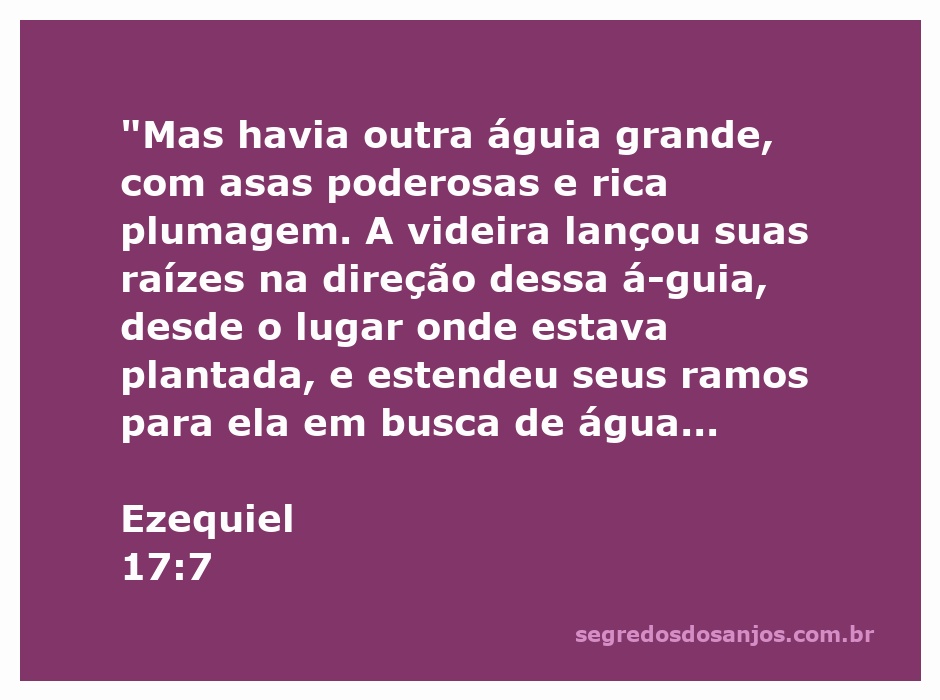 Imagem representativa da águia poderosa e da videira em busca de água, simbolizando confiança e dependência.