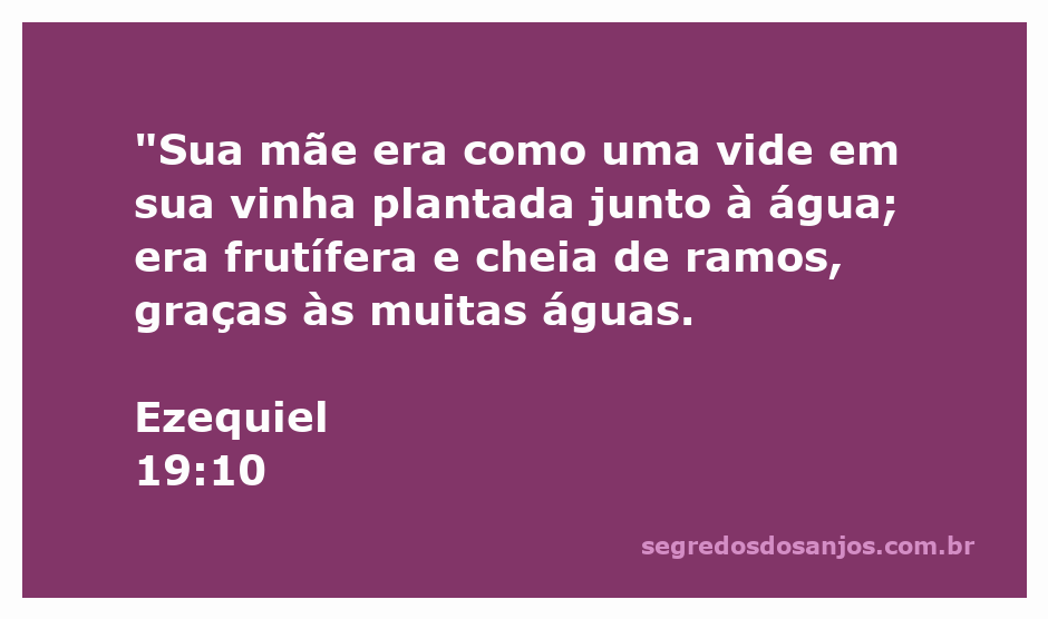 Imagem representativa da videira frutífera, simbolizando a passagem de Ezequiel 19:10 sobre prosperidade e abundância.