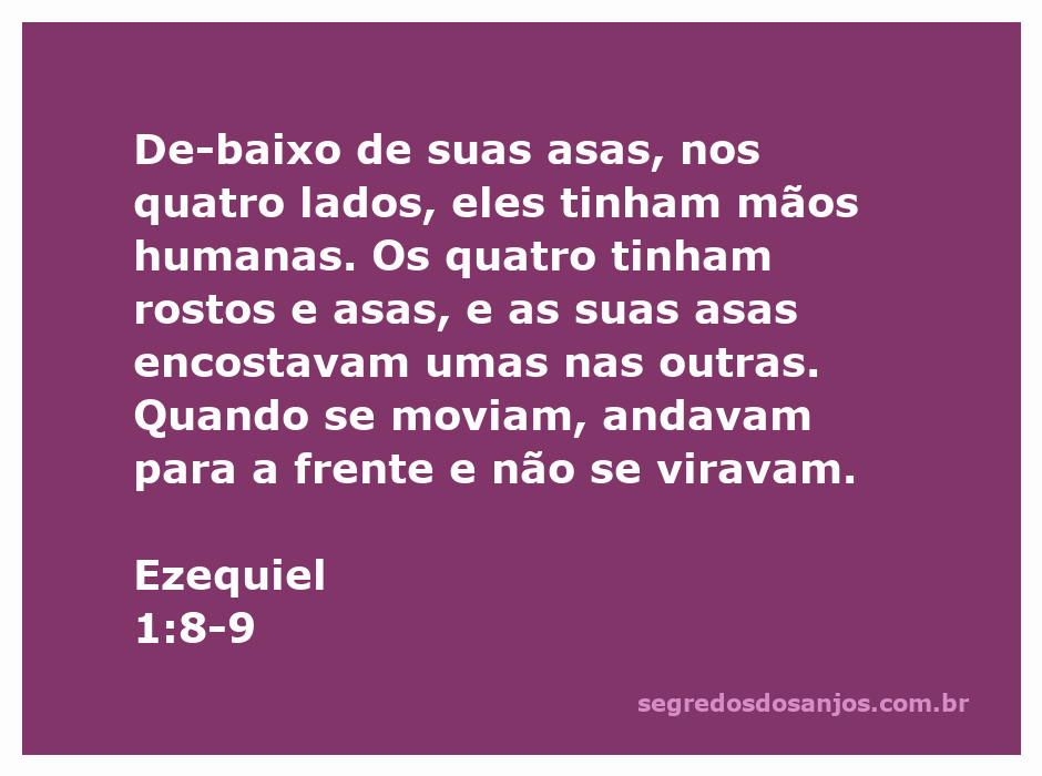 Visão dos seres vivos descritos em Ezequiel 1:8-9, com mãos humanas e asas que se encostam.