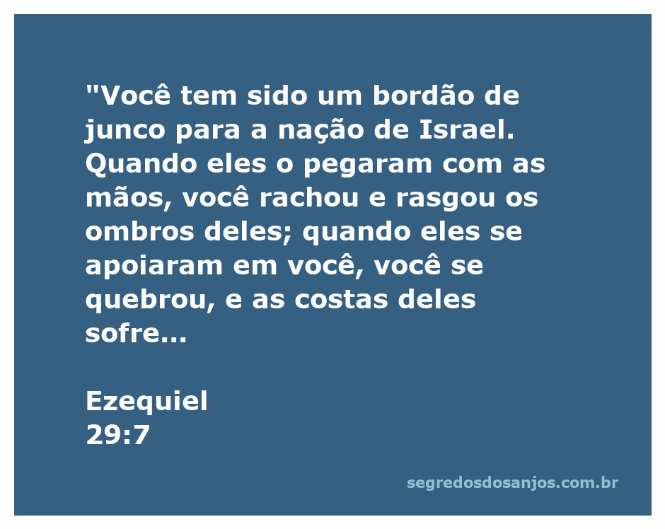 Imagem de um junco quebrando sob pressão, simbolizando a fragilidade e a traição.