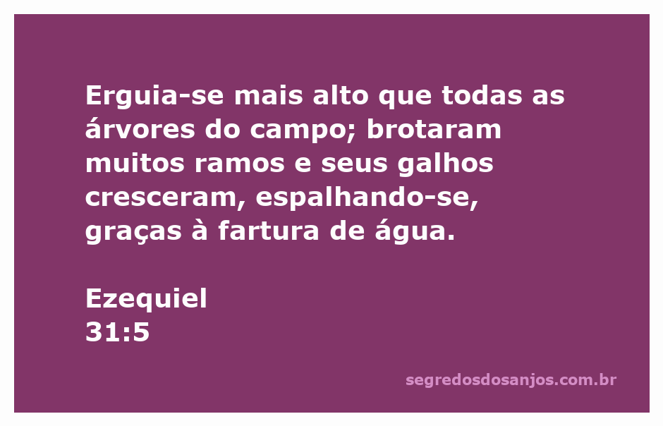 Imagem de uma árvore majestosa, simbolizando a passagem de Ezequiel 31:5, que fala sobre uma árvore que se ergue mais alta que todas as outras, com muitos ramos e galhos abundantes.