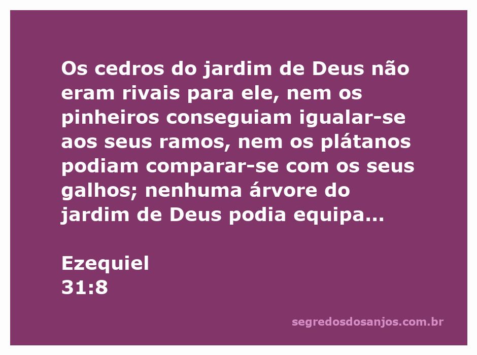 Imagem de uma árvore majestosa, simbolizando a beleza incomparável descrita em Ezequiel 31:8.