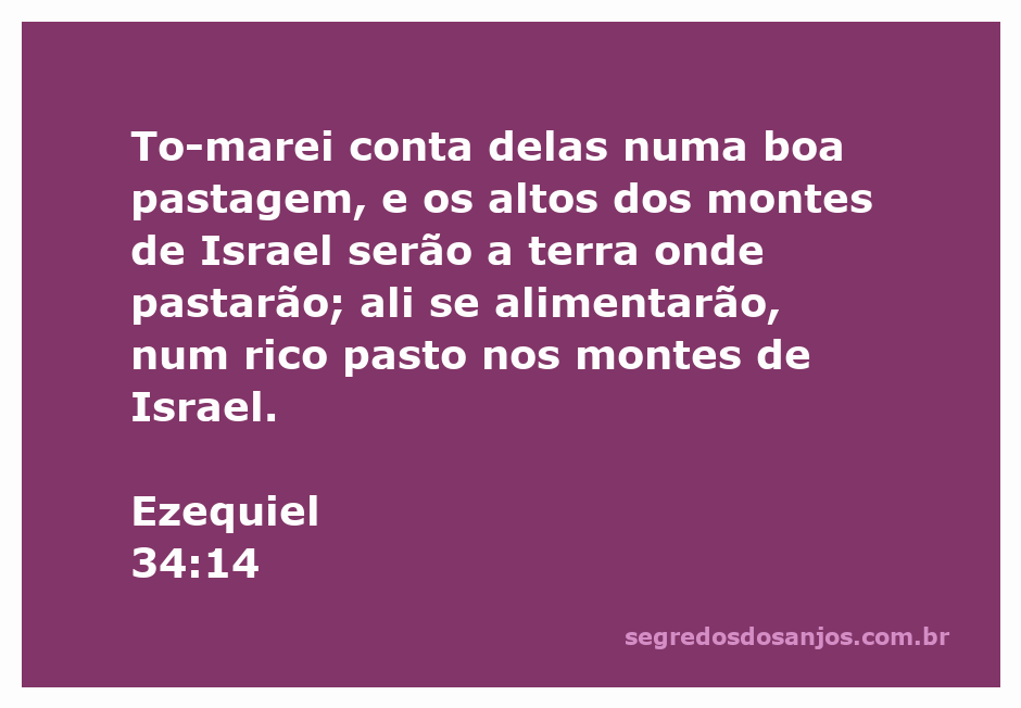 Imagem de pastagem verdejante nos montes de Israel, simbolizando alimento e cuidado pastoral.