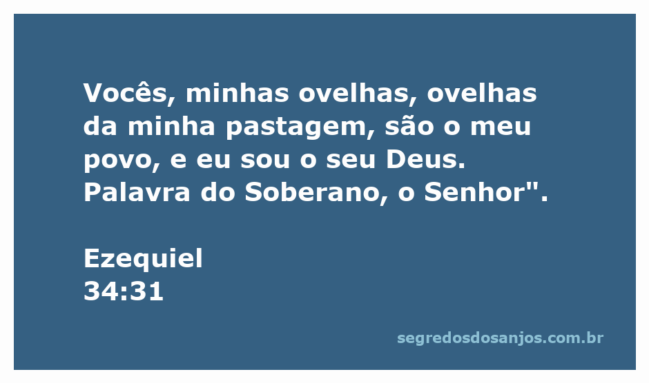 Ilustração de ovelhas pastando, simbolizando o cuidado de Deus com seu povo conforme Ezequiel 34:31.