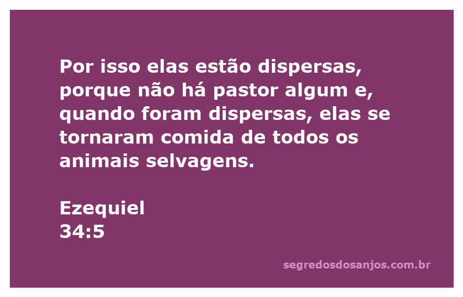 Imagem de ovelhas dispersas em um campo, simbolizando a falta de orientação espiritual.